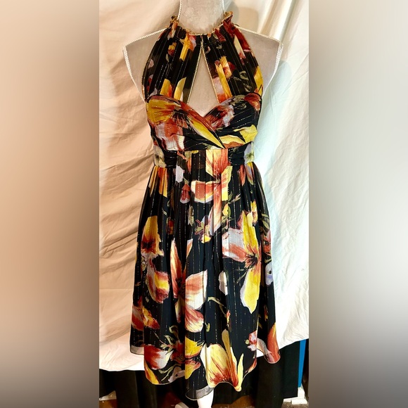 Anna Sui for Anthropologie Floral Black Silk Dress w/ Gold Stripes Size 2
